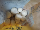 珍味小梅园嵊州小笼包800g（32个装）嵊州风味老面手工鲜肉包早餐速食半成品 实拍图