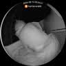 霍曼（Homerun）Homerun可视自动猫砂盆智能全自动猫厕所开放式智能大号猫砂盆 O1 实拍图