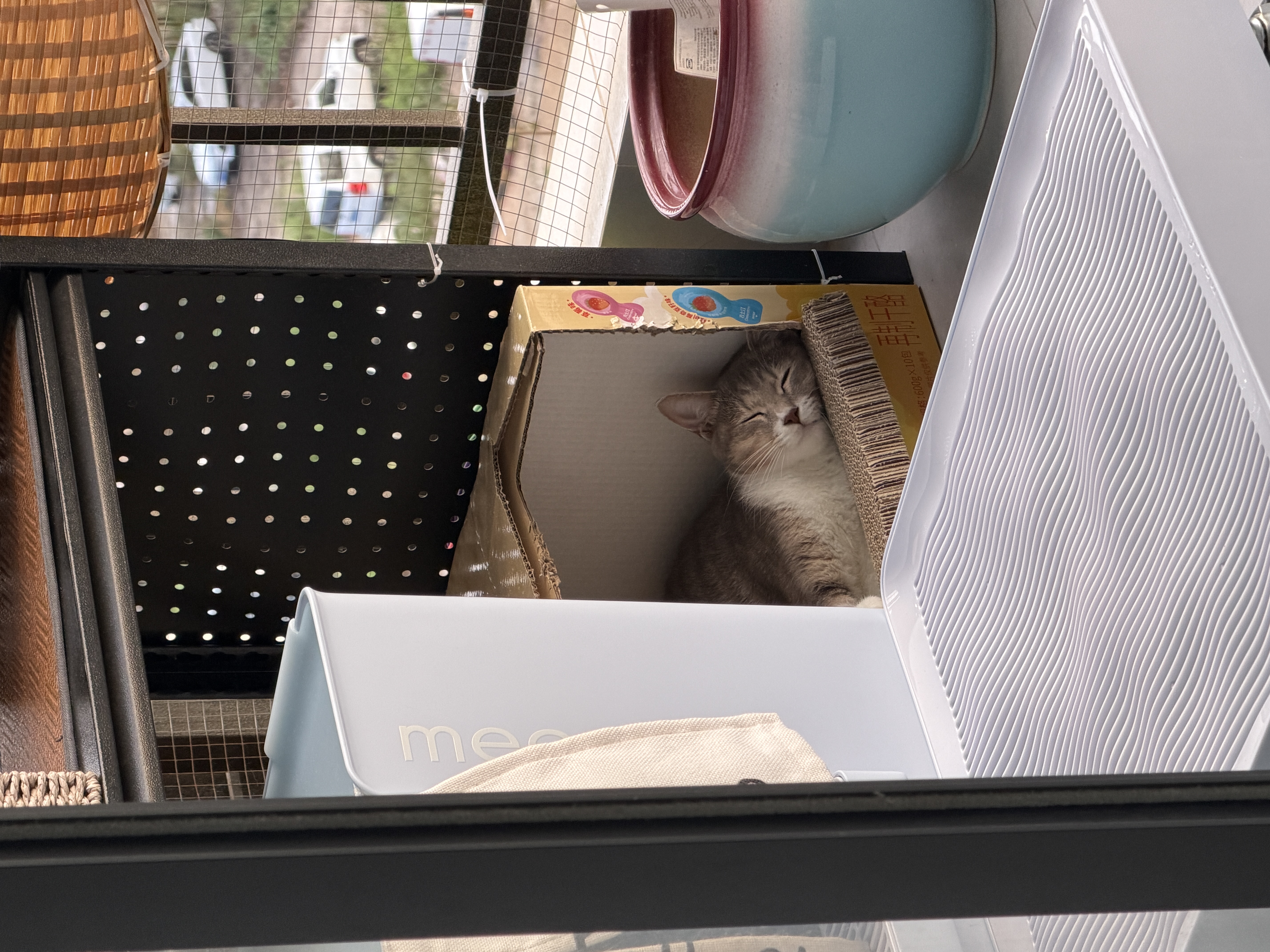 多特思羊奶炖鸡猫主食餐包6包成幼猫湿粮罐头全价猫咪汤包饭 实拍图