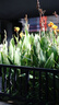适马（SIGMA）56mm F1.4 DC DN｜Contemporary 半画幅大光圈定焦镜头 人像特写（适马56 f1.4索尼E卡口） 实拍图