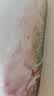 鲜活冲浪河鲈鱼400-500g/条 实拍图