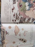 葫芦兄弟（6册。动画原片修复，另有益智游戏、纸玩具，经典书也好玩！中国经典动画原片精美修复，重现大师杰作） 实拍图