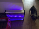 灯下灭蚊灯家用灭蝇灯商用灭蚊器室内灭虫器卧室灭蚊神器蚊子苍蝇神器 (中面积)D20WP-LED双管-节能版 实拍图