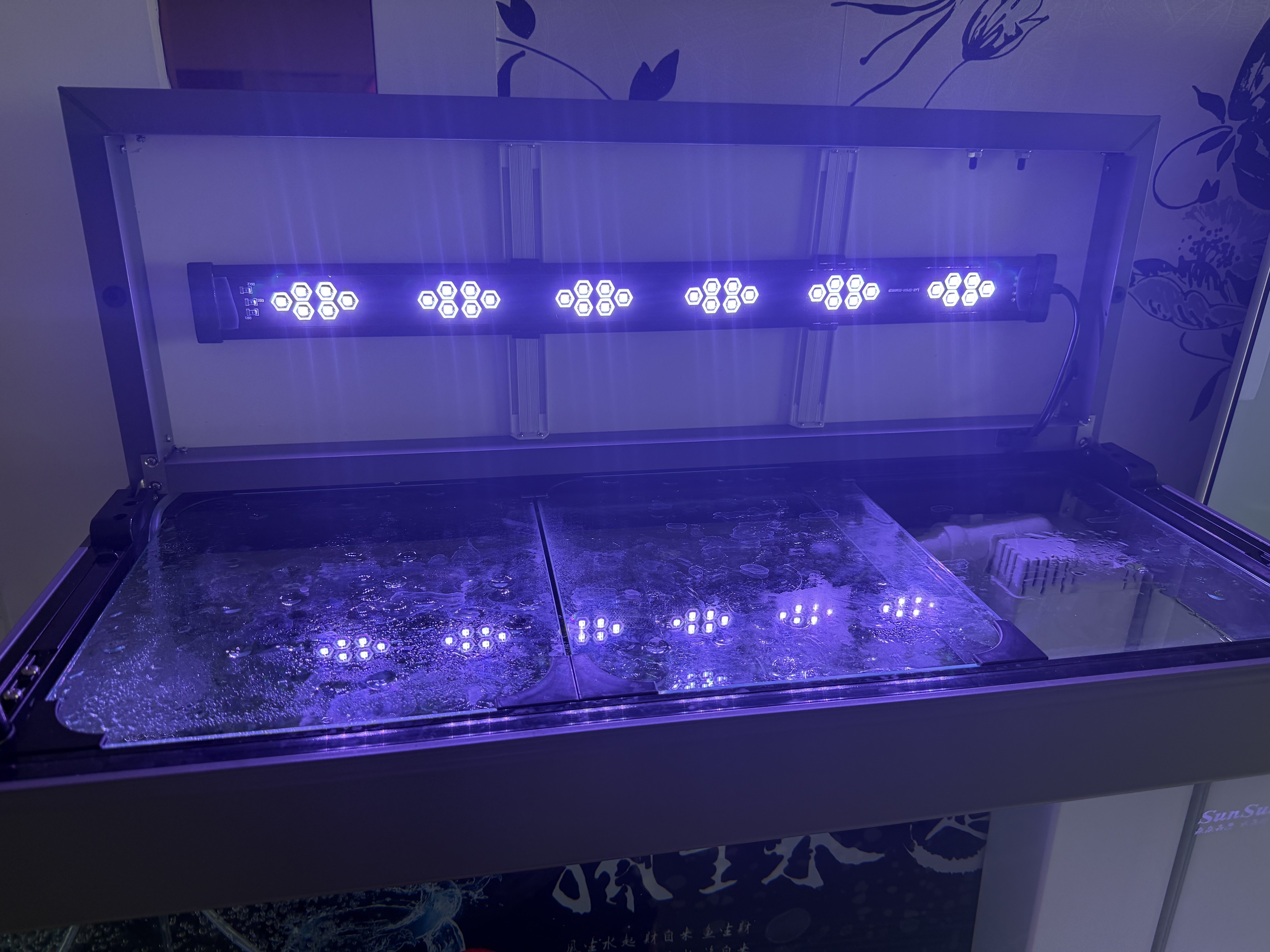 森森（SUNSUN）大型鱼缸底过滤水族箱客厅家用落地玻璃生态金鱼缸 超白款升级底滤 0.8米长35cm宽（黑白灰可选） 实拍图