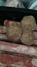 潮夫道纯牛筋丸250g牛肉含量90%正宗潮汕手打牛肉丸火锅食材麻辣烫 实拍图