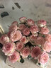 漫生活玻璃花瓶插花水养透明插花瓶百搭冰川纹水养轻奢水培植物摆件24cm 实拍图