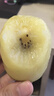 佳沛（zespri）新西兰阳光金奇异果10粒巨大果单果146-175g 猕猴桃水果礼盒 实拍图