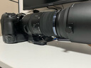 奥之心（OM SYSTEM）150-600mm F5.0-6.3 IS 超长焦变焦镜头 奥林巴斯微单相机镜头 等效300-1200mm 实拍图