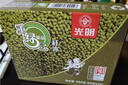 光明牌精品重绿豆棒冰96g*10支 薄荷清凉口感冰棍冷饮雪糕冰激凌家庭装 实拍图
