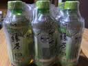 康师傅冰爽低糖经典绿茶330ml*6中秋送礼 实拍图