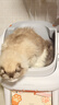 霍曼（Homerun）Homerun可视自动猫砂盆智能全自动猫厕所开放式智能大号猫砂盆 O1 实拍图