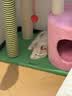 ZEZE【大号款】猫爬架猫窝猫树一体通天柱跳台大型不占地猫咪用品 实拍图