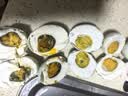 神邮 高邮咸鸭蛋熟20枚*60g家庭装 即食咸鸭蛋流油 企业团购 实拍图