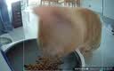 汪野君养猫新手套装猫砂盆铲喂食喂水器绒布猫窝猫砂用品组合基础四件套 实拍图