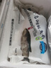 鲜喜爱【有机认证】冷冻千岛湖鲢鱼头净重1.5斤白鲢鱼头 生鲜鱼类海产 实拍图