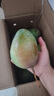 京鲜生攀枝花凯特芒净重8斤 单果400g＋ 新鲜水果 源头直发包邮 实拍图