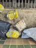 初舍（CHUSHE）双面海绵擦洗碗布20片厨房专用抹布刷锅神器金属丝清洁家政百洁布 实拍图