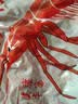 隽品湾南极磷虾肉虾仁去头去壳虾干大号野生深海鳞虾米淡干虾皮无添加盐 【深海野生】100g*5袋 实拍图
