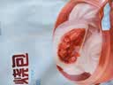 广州酒家叉烧包750g20个早茶糕点点心包子小笼包预制菜儿童早餐速冻半成品 实拍图