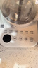 美的（Midea）养生壶 家用1.5L全自动煮茶壶烧水壶304智能泡茶器热水壶办公室花茶壶煮茶器YS15P-Y2 实拍图