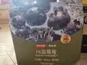 京东京造 100%NFC有机蓝莓汁180g*12精制礼盒纯果汁花青素饮料 实拍图