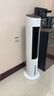 美的（Midea）【APP智能】家用空调扇落地遥控冷风扇/负离子加湿冷风机/水冷塔扇冷气扇强力制冷移动空调AAF10MR 实拍图