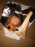 山西特产太谷饼70g早餐芝麻饼休闲零食传统糕点办公室下午茶点心 原味70g*1袋 实拍图