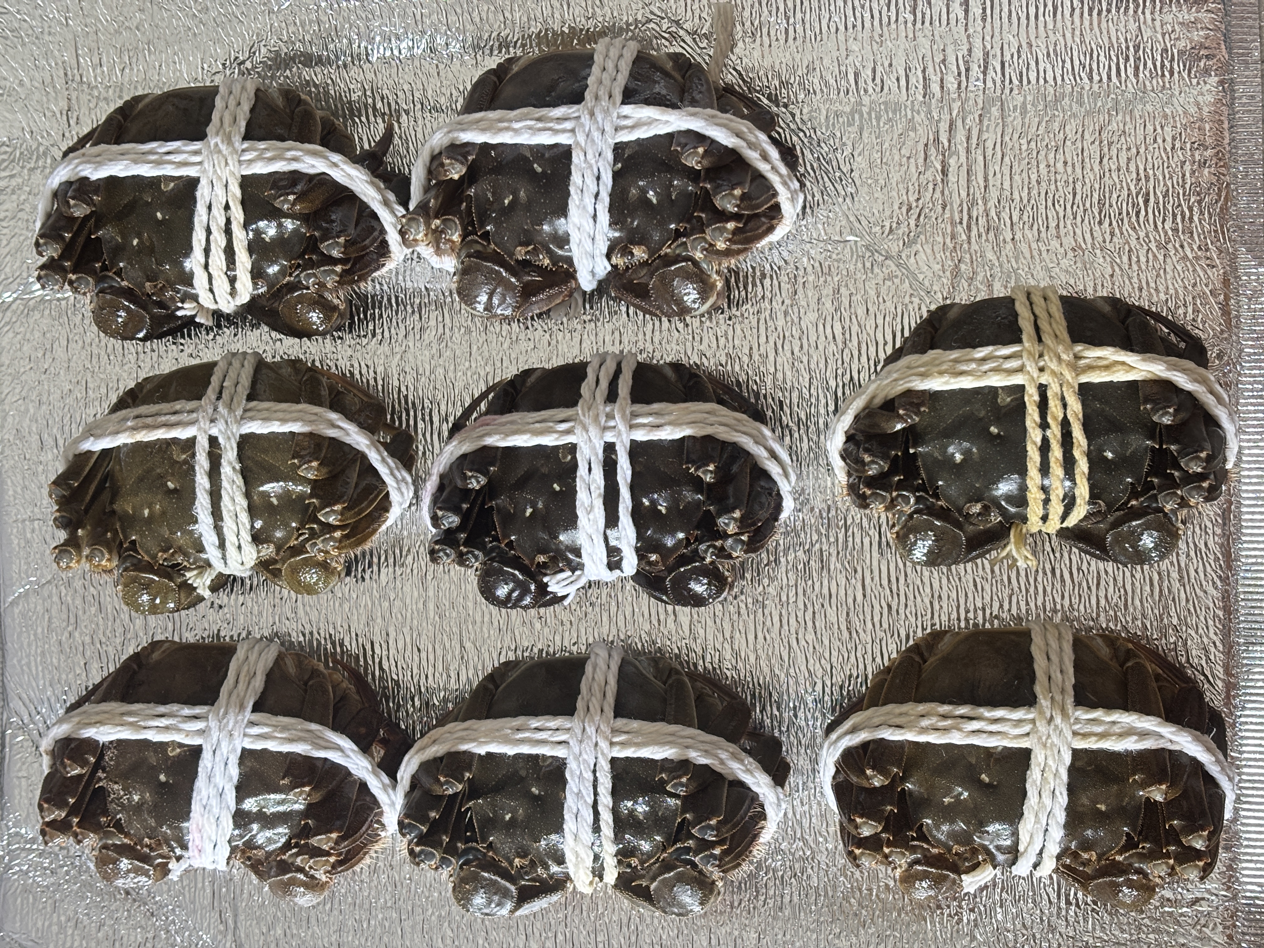 【活蟹】湖鲜阳澄 大闸蟹 去绳足重 2.5-2.8两 8只 鲜活六月黄现货超大螃蟹生鲜礼盒装 实拍图