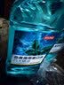 京东京造【天然精油劲爽不辣口】四大精油劲爽薄荷漱口水500ml*3套装清新 实拍图