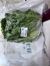 罗马生菜约500g 实拍图