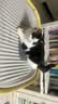卷尾巴（CURLY TAIL）猫砂盆全封闭式特大号猫厕所除臭防外溅顶入式超大猫沙盆猫咪用品 PMAX奶油黄巨无霸【抗菌升级】 实拍图