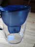 碧然德（BRITA）过滤净水器 家用滤水壶 净水壶 海洋系列 去水垢专家版滤芯11枚 环保加固包装 实拍图