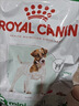 皇家狗粮 成犬狗粮 犬粮 宠物小型犬 PR27 全价犬粮≥10月8KG 实拍图
