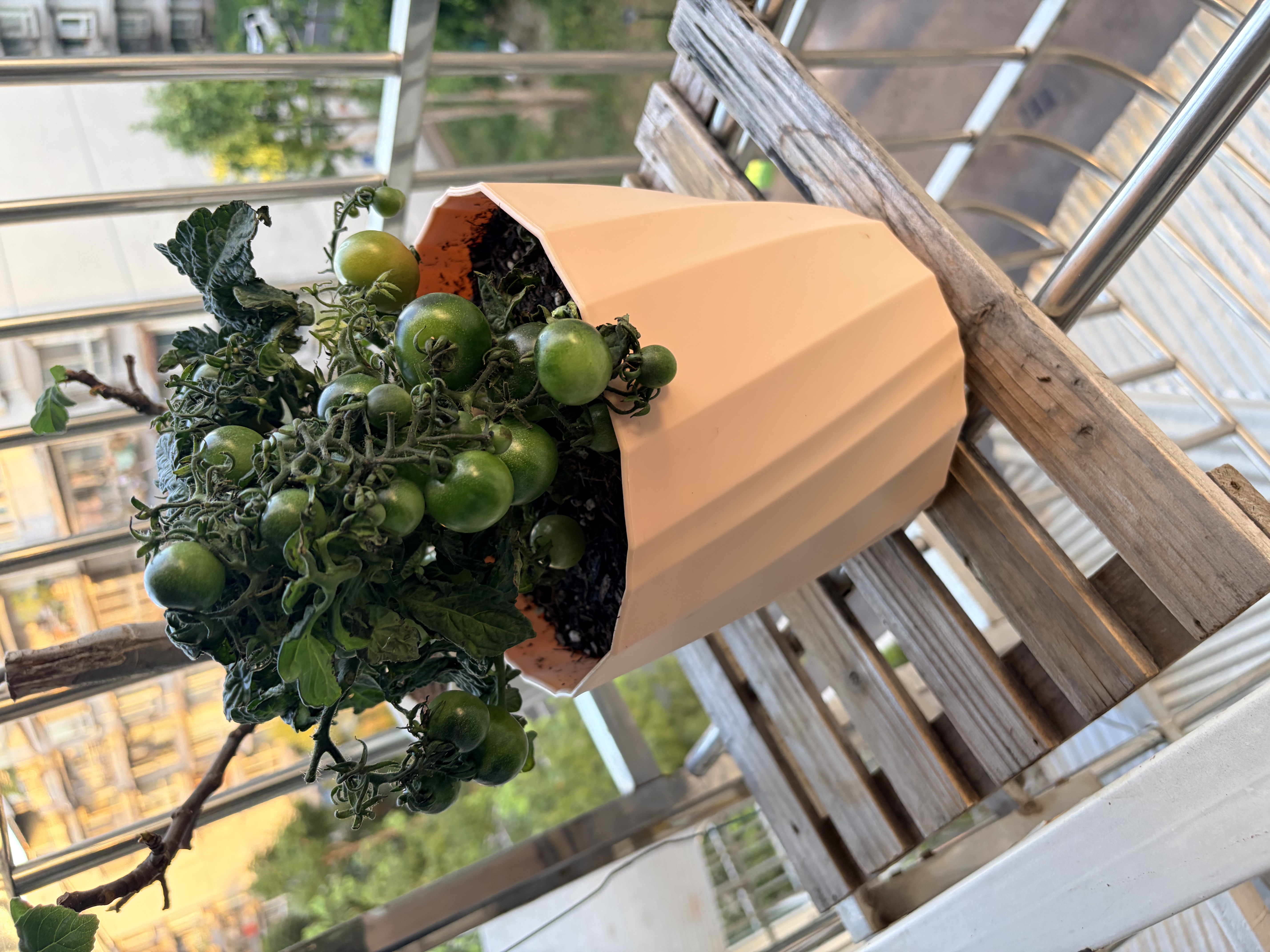 九千谷花盆欧式创意三色混装大号3个装花卉绿植加厚塑料花盆带托盘4252 实拍图