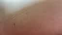 十月稻田 紫米 2斤 紫糯米 云南紫米 五谷杂粮米 含花青素 紫米露 实拍图