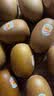 佳沛（zespri）新西兰 阳光金奇异果12粒特大果单果124-146g 猕猴桃水果礼盒 实拍图