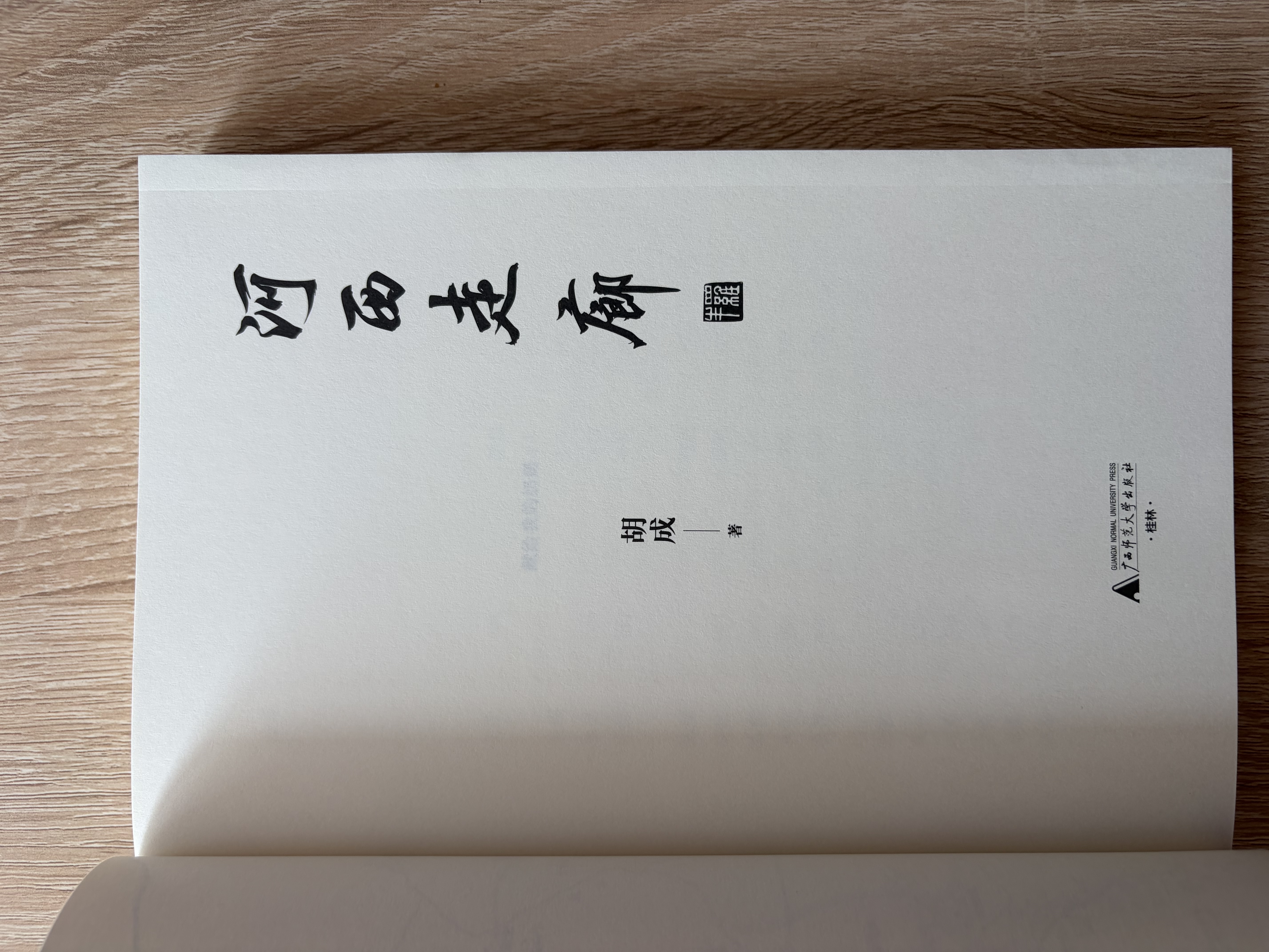 河西走廊  文津奖提名作者、“单向街书店文学奖”得主胡成最新力作  实拍图