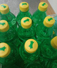 可口可乐（Coca-Cola）檀健次代言雪碧 Sprite 柠檬味 碳酸饮料 300ml*12瓶 整箱装 实拍图
