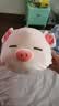 名创优品（MINISO）小猪B-BO弹力超柔趴姿公仔毛绒玩偶儿童玩具抱枕靠枕生日礼物女 实拍图