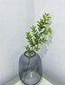 京东鲜花透明玻璃花瓶高级感轻奢摆件客厅插花瓶水养雪柳马醉木鲜花吊钟 实拍图