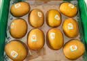 佳沛（zespri）新西兰阳光金奇异果10粒巨大果单果146-175g 猕猴桃水果礼盒 实拍图