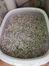 鄂芯鲜绿茶纯豆腐猫砂4斤猫砂低尘猫舍可用猫砂 【超强除臭】竹炭猫砂10斤 实拍图