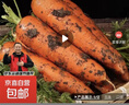京喜加山东新鲜胡萝卜水果胡萝卜现挖现发蔬菜水果沙地红萝卜减脂 带泥胡萝卜5斤 净重 含箱 实拍图