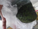 即食牛油果4粒520g 实拍图