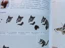 4册全套《少儿国画入门基础》花鸟蔬果动物鱼虫篇幼儿童初学画画实用临摹教材写意美术课件教程书籍起步杨建飞 实拍图