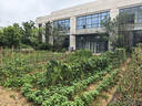 京东京造316L不锈钢快餐碗隔热防烫上班族饭盒小学生带盖三层13.5CM配筷勺 实拍图