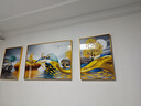 Sixpoetry 客厅装饰画现代简约沙发背景墙壁画轻奢三联晶瓷画大气高档挂画 福禄生辉（铝合金外框） 镶钻画左右50*70+中间100*70亮面 实拍图