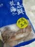 富海锦鲜冻整只大鱿鱼1.48斤2-3条 铁板鱿鱼火锅烧烤食材 海鲜生鲜送礼 实拍图