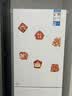 美的（Midea）231三门小型出租房家用220L宿舍节能低噪冰箱一级能效以旧换新国家补贴 220L三门三温【每天电费约0.27元超节能】 实拍图