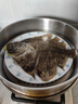 鲜活多宝鱼450-550g/条 实拍图